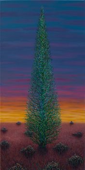 Italian Cypress